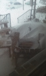 Snowzilla at 1600--my front porch